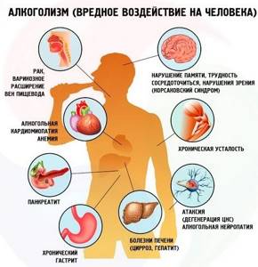 Алкогольный калькулятор онлайн. Расчет степени опьянения и содержания алкоголя в крови