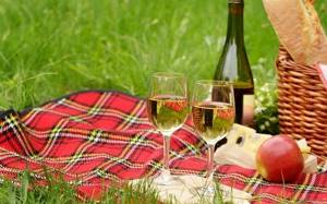 Белое вино для пикника