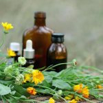 девясил настойка на водке применение