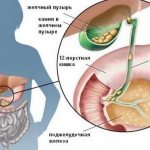 Для чего людям дан желчный пузырь