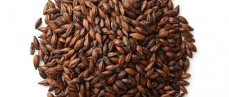 фото копченого солода для раухбира