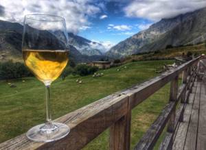 Грузинское вино и горы