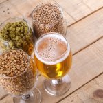 Хмель и солод