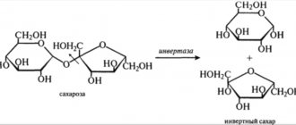 Инверт сахарозы