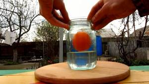 Как готовится апельсиновая настойка на самогоне