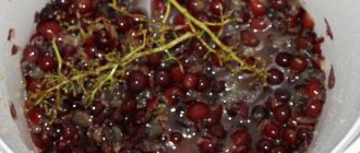 Как сделать коньяк