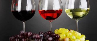 Какие бывают вина