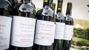 Категории итальянских вин