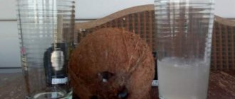 Кокосовая настойка из стружки или свежей мякоти – рецепт