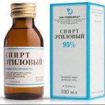 латинское название