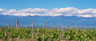 Микрозона Мукузани