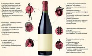 Молодое виноградное вино польза и вред