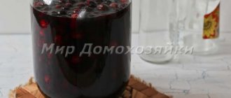 Наливка из ягод крыжовника