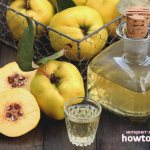 Настойка из айвы на водке: рецепты - ZdavNews