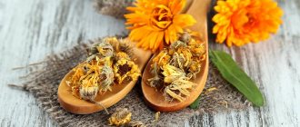 Настойка календулы