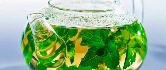 Настойка мелиссы на водке (спирте): рецепт и инструкция