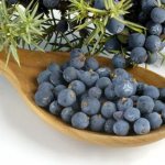 Настойка на можжевельнике: рецепт на водке (самогоне, спирту)