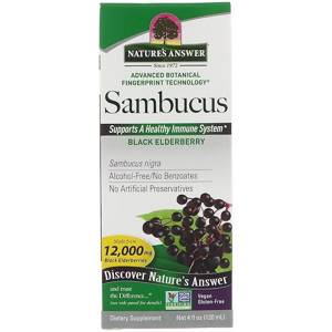 Nature's Answer, Самбукус, черная бузина, 12000 мг, 120 мл