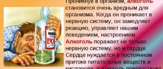 Нормы алкоголя для человека