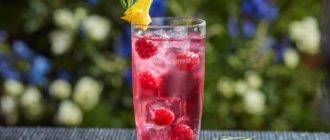 Обзор тоника Швепс