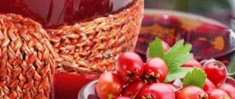Отвар боярышника — польза и вред целебного напитка