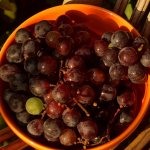 перебранный виноград