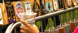 пивной фестиваль в Чехии