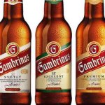 Пиво Гамбринус и его особенности
