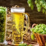 Пиво и хмельные шишки в бокалах.