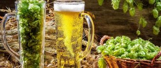 Пиво и хмельные шишки в бокалах.