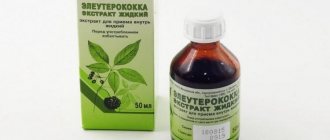 Польза и вред настойки элеутерококка