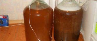Приготовление медовухи в домашних условиях