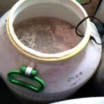 Процесс брожения браги