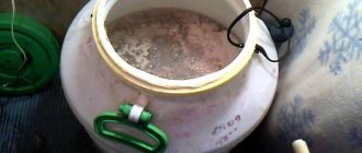 Процесс брожения браги