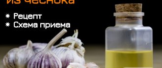 Рецепты настойки из чеснока