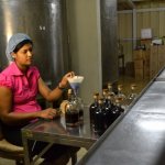 ром история напитка