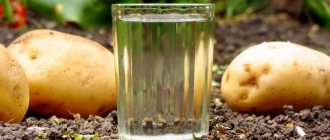 самогон из картофеля