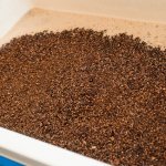 Шоколадное пиво (стаут) в домашних условиях – рецепт