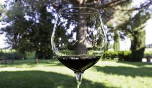 Снижение кислотности вина