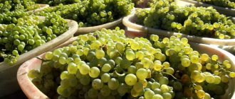 состав настоящего коньяка