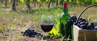 Технологии производства вина