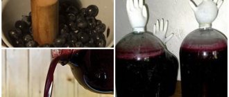 технология приготовления домашнего тернового вина
