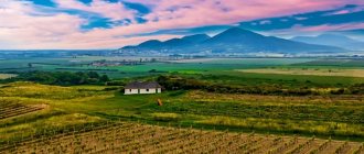 венгрия виноделие