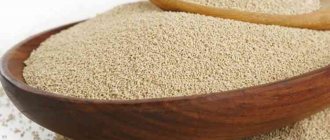 Виды и марки винных дрожжей