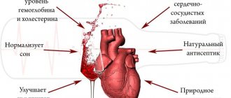 винная диета