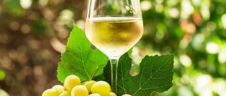 Вино из белого винограда своими руками в домашних условиях