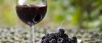 Вино из ежевики