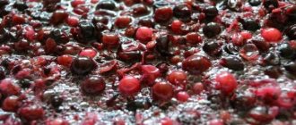 Вино из мезги