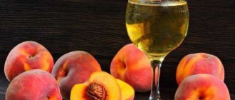 Вино из персиков своими руками в домашних условиях