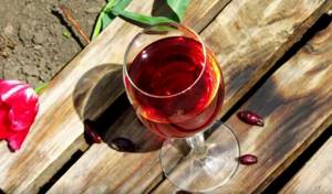 Вино из шиповника: простой рецепт приготовления в домашних условиях